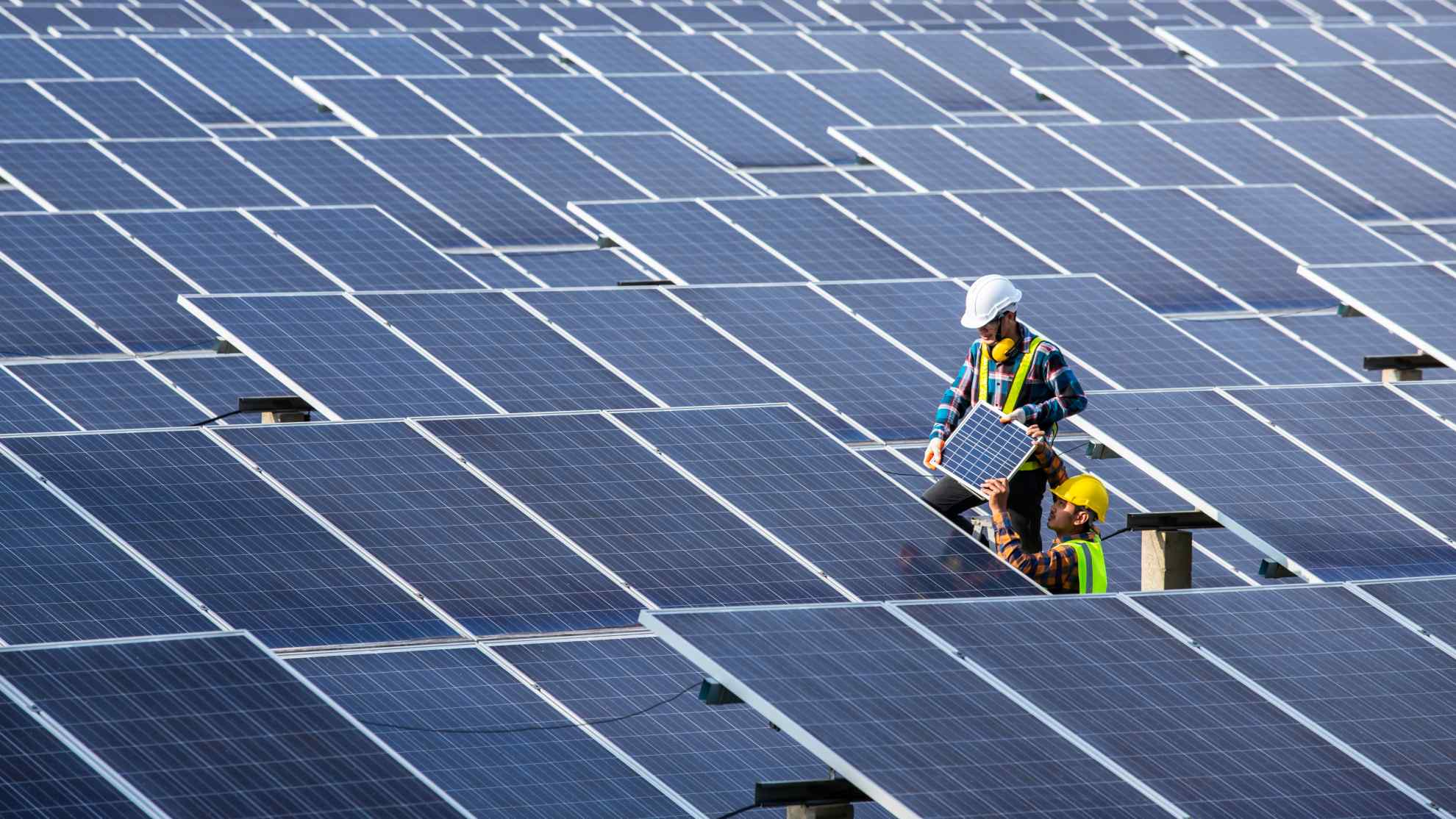 Solarvest team doing maintenance in a Large Scale Solar farm