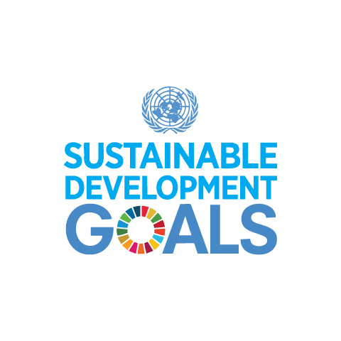 United Nations Sustainable Development Goals logo